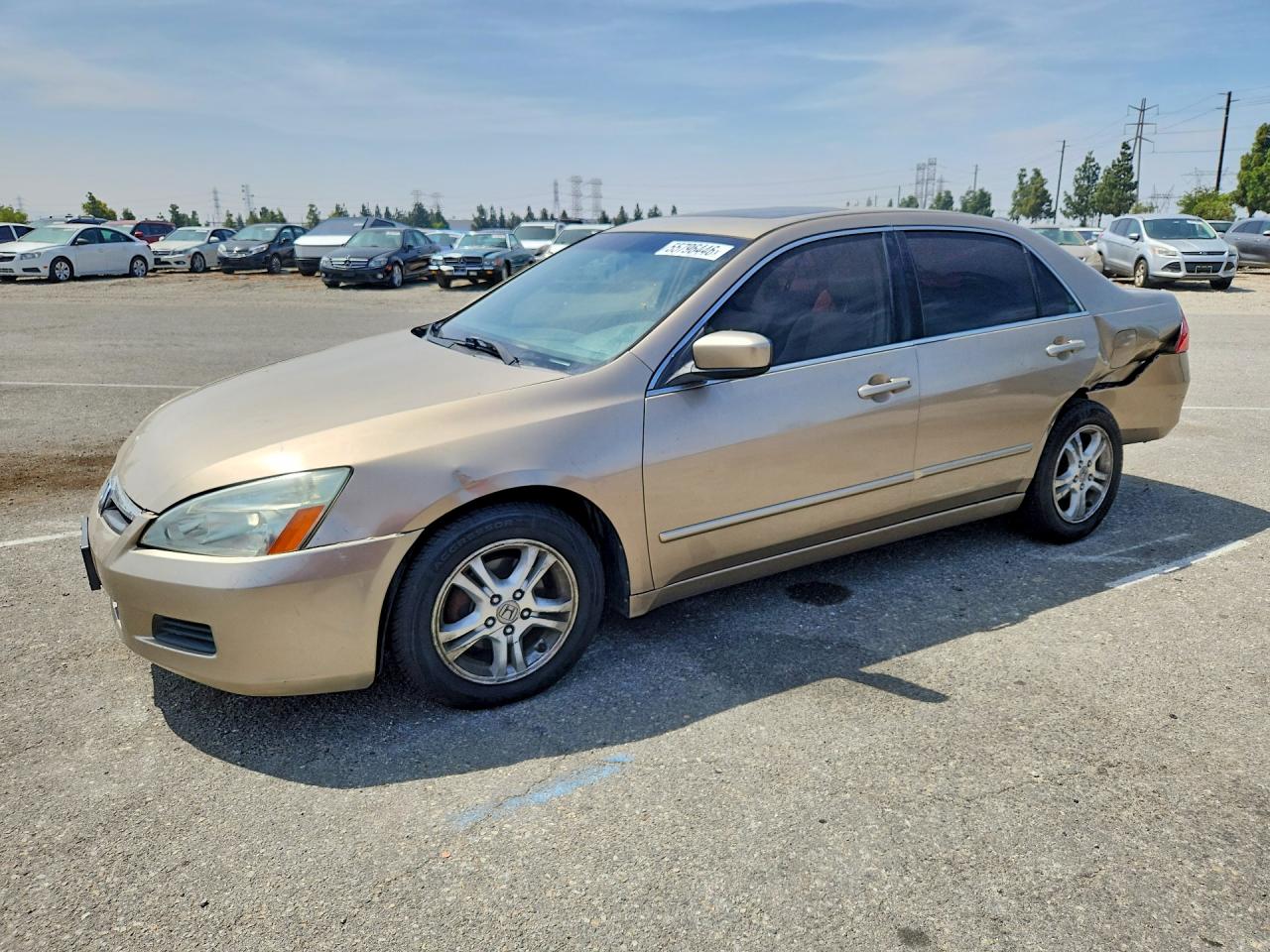 Salvage Honda Accord Image