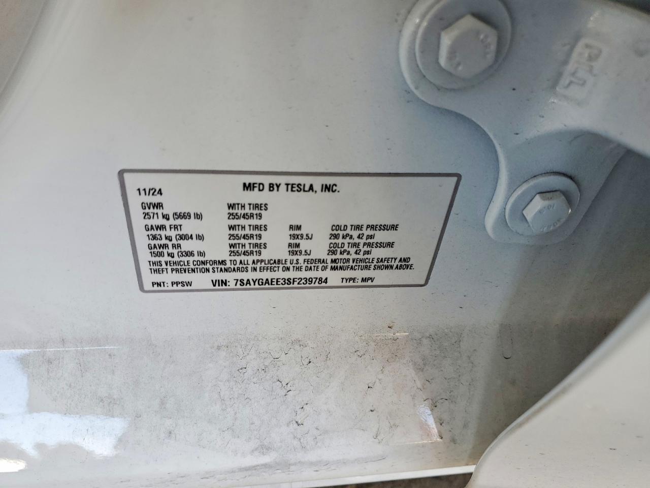 Tesla Model Y