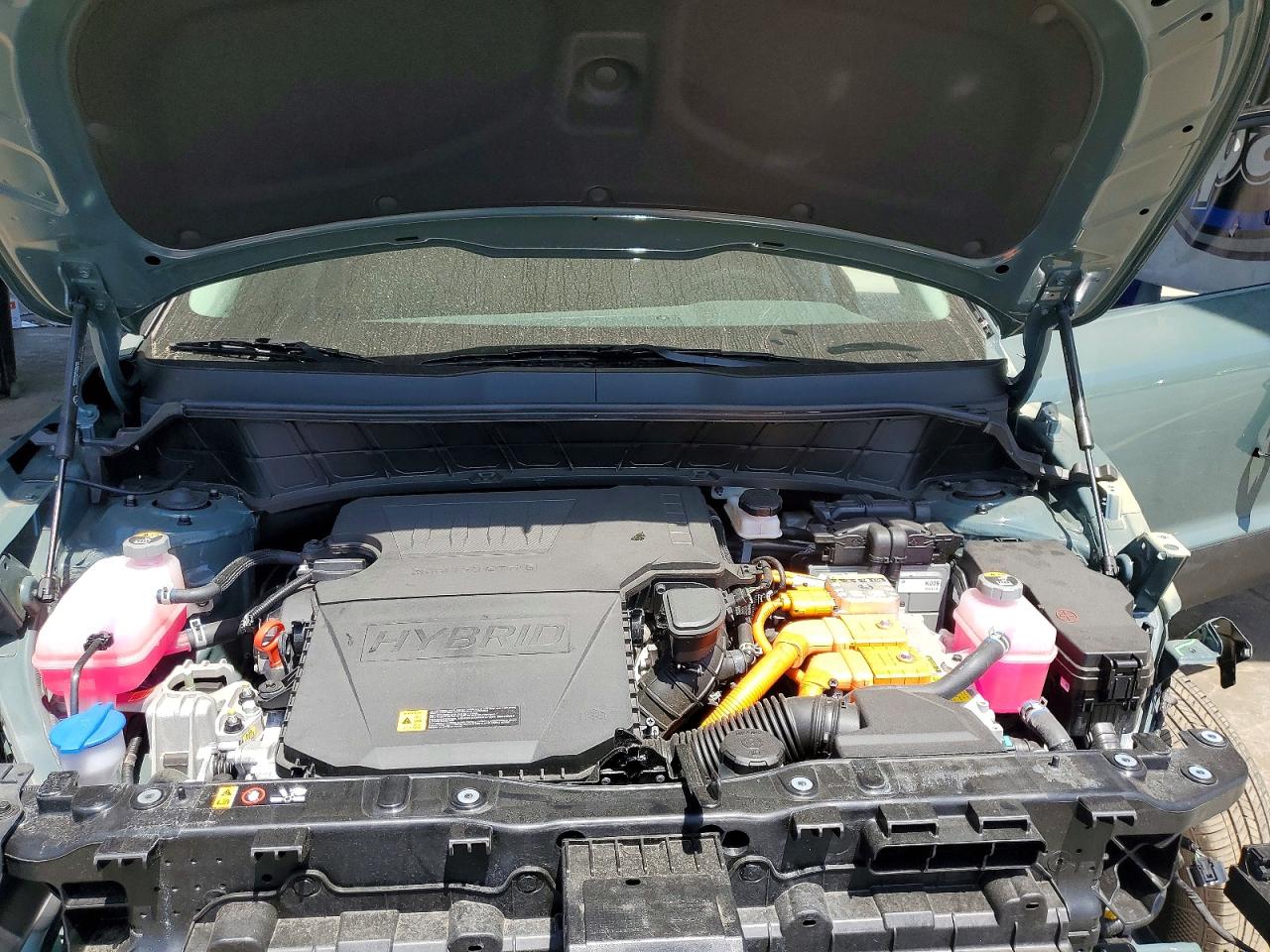 Kia Niro Ex