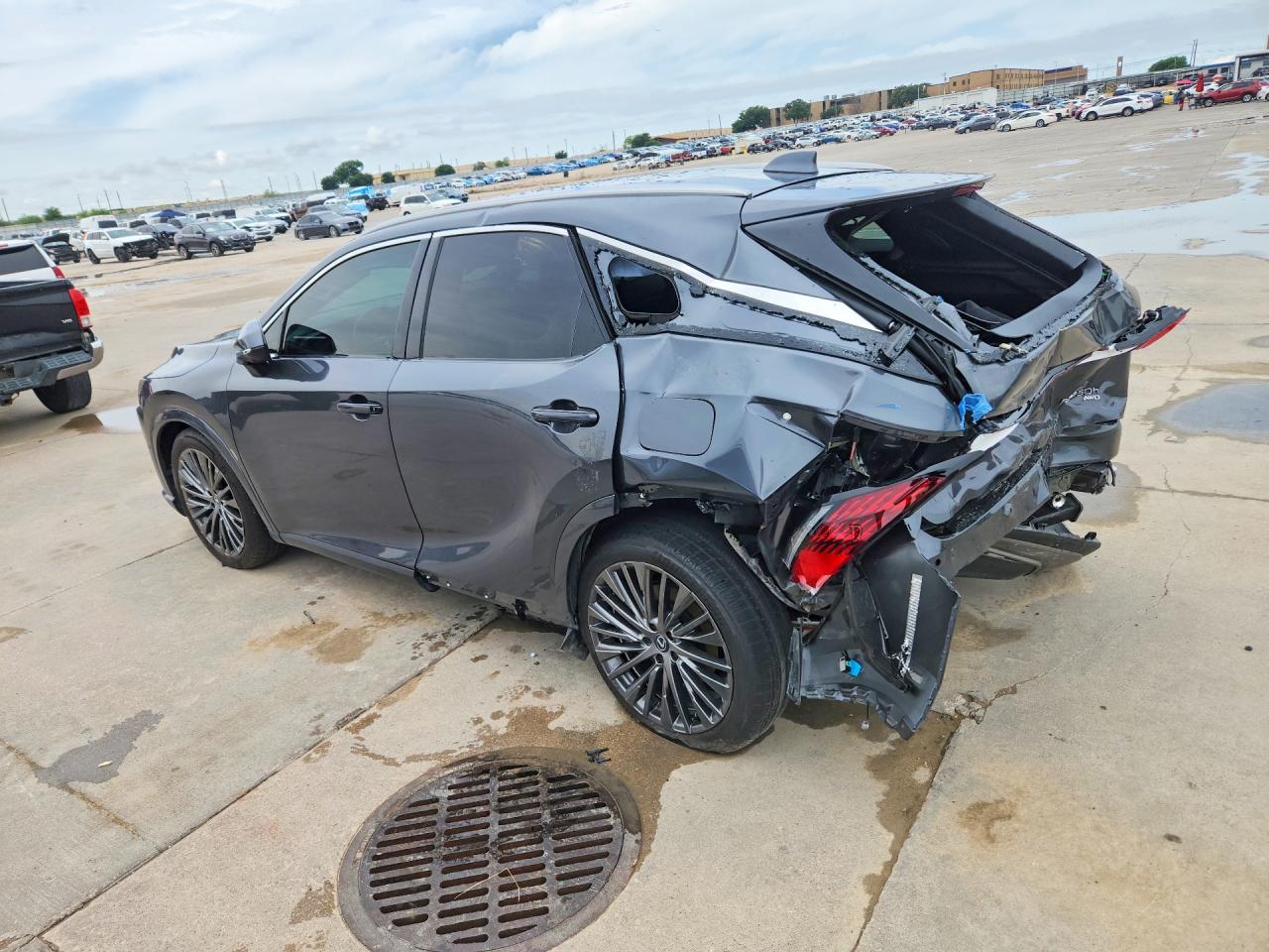 Lexus RX Luxury