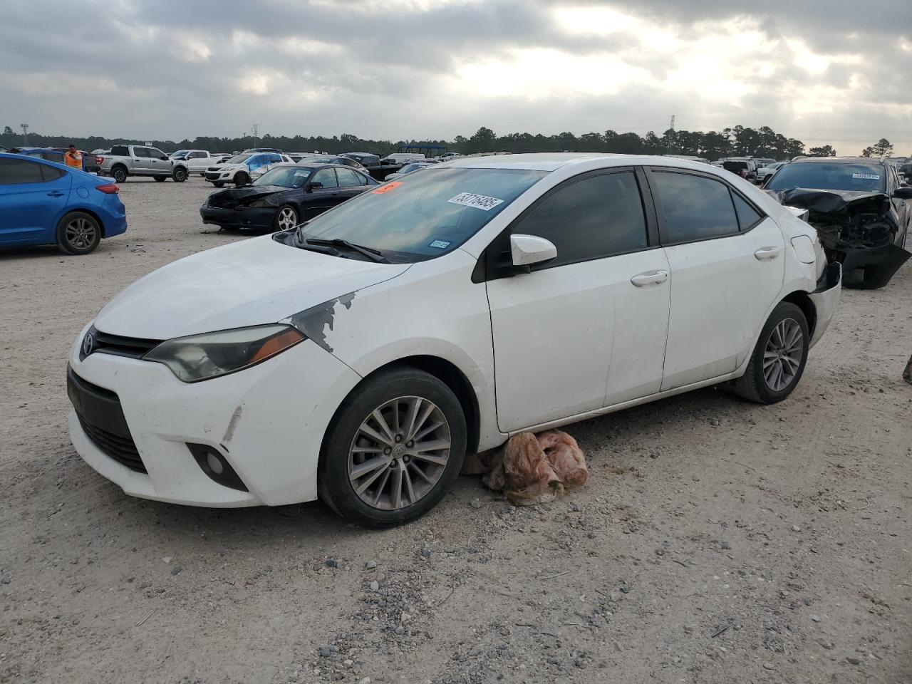 Salvage Toyota Corolla Image