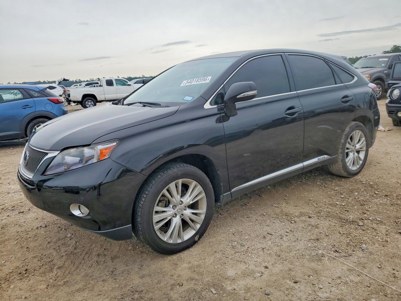 Salvage Lexus RX Image