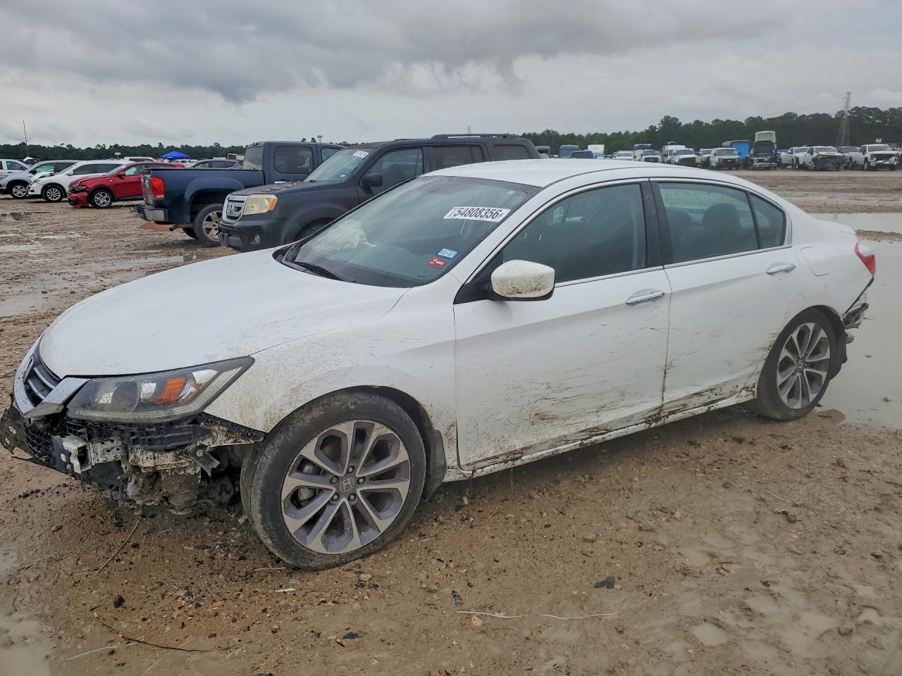 Salvage Honda Accord Image