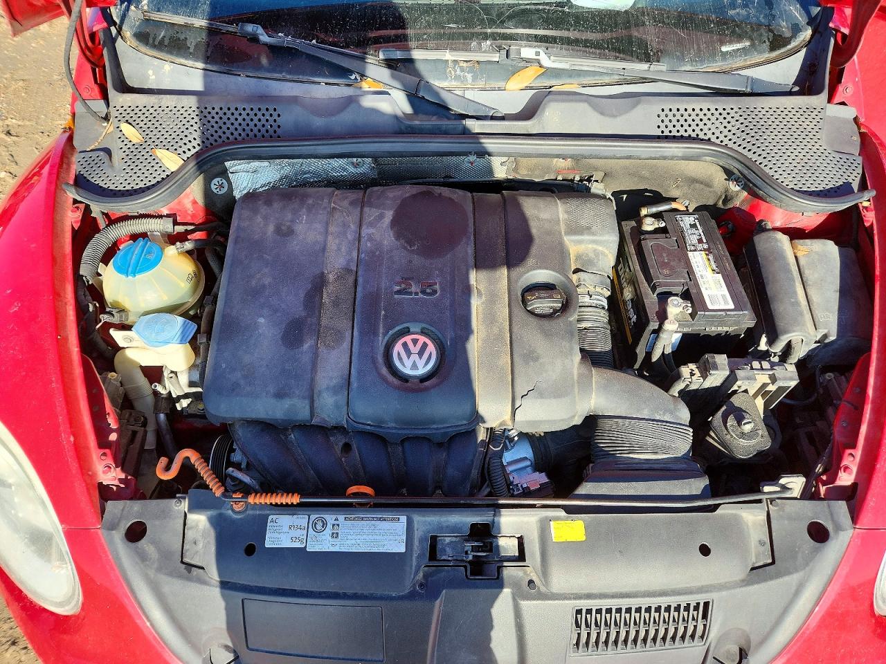 Volkswagen Beetle