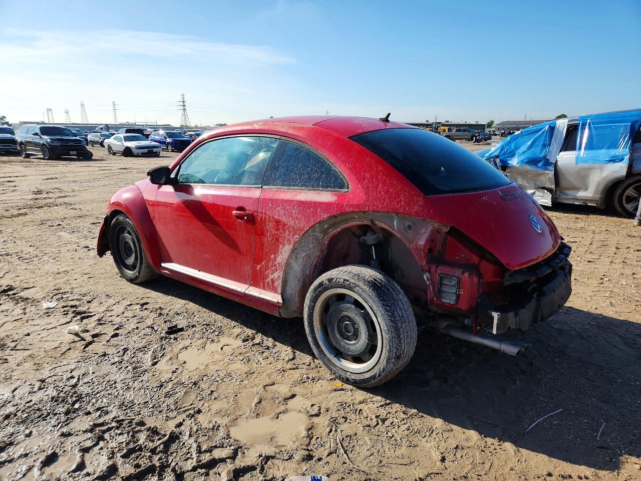Volkswagen Beetle