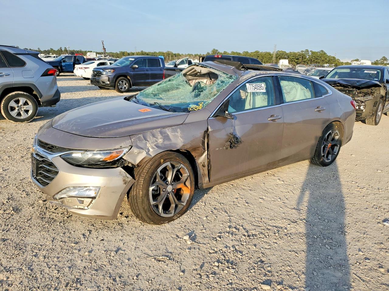 Salvage Chevrolet Malibu Image