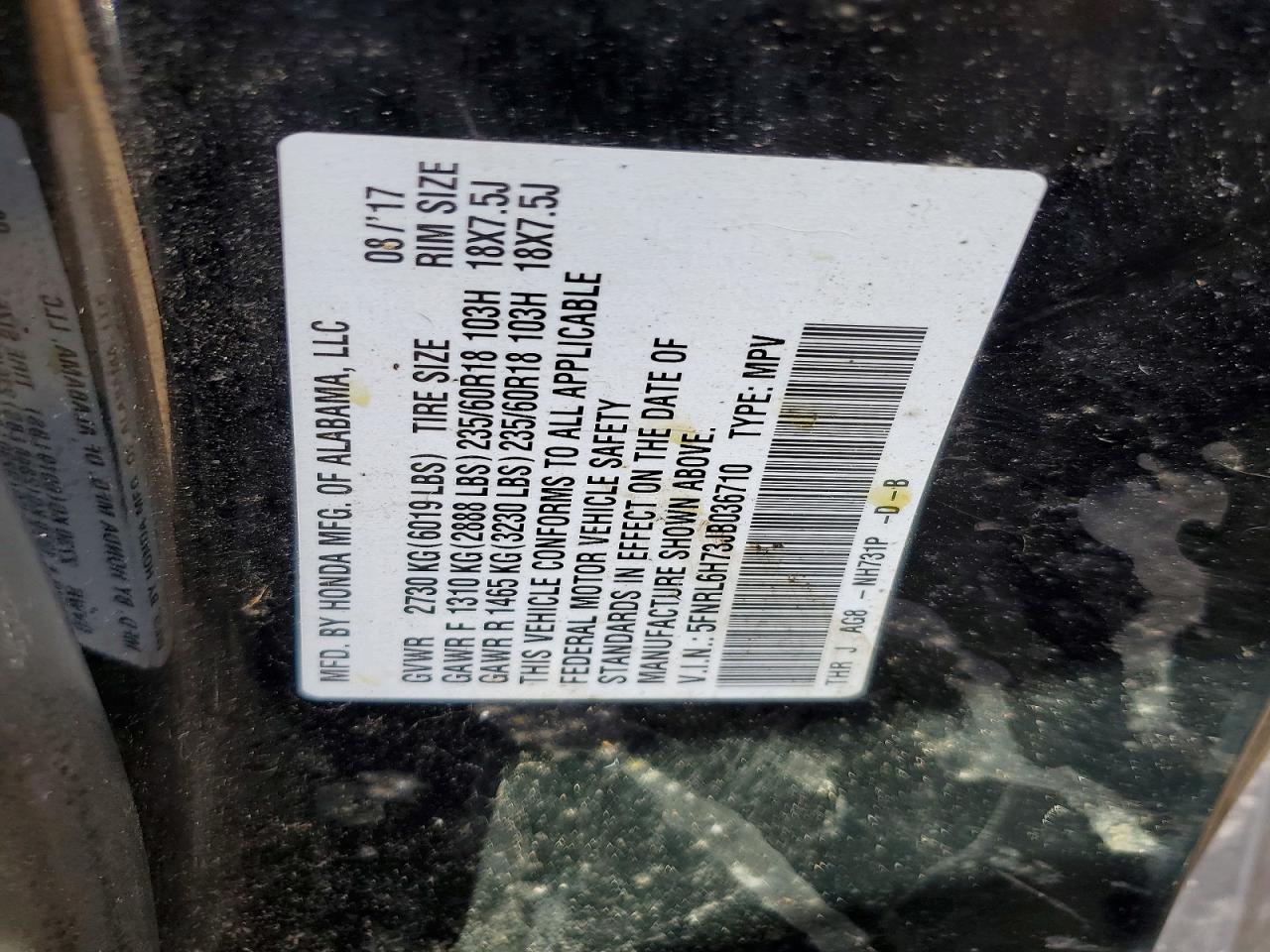 Honda Odyssey Exl