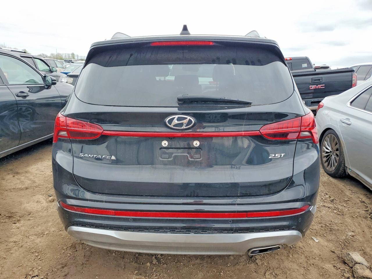 Hyundai SANTA FE Calligraphy