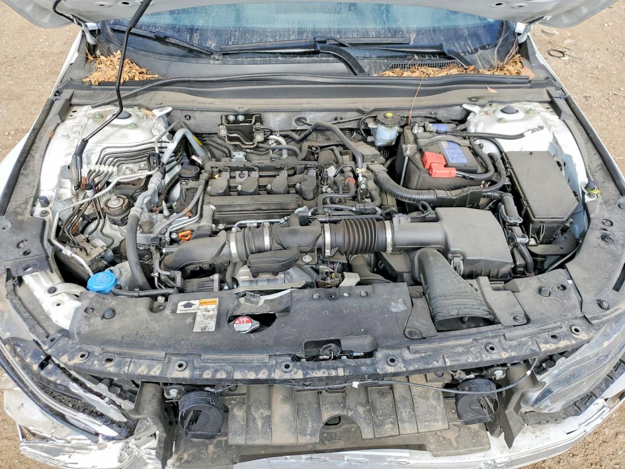 Honda Accord Lx