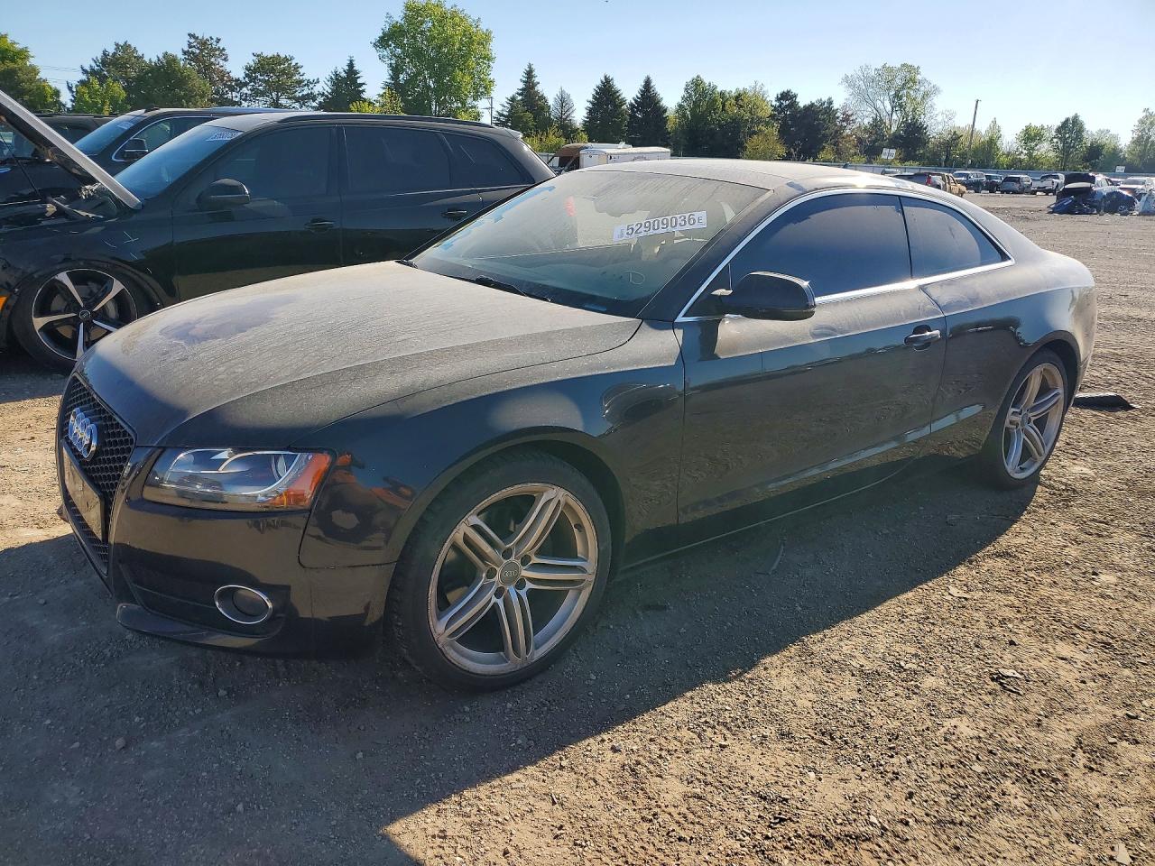 Salvage Audi A5 Image
