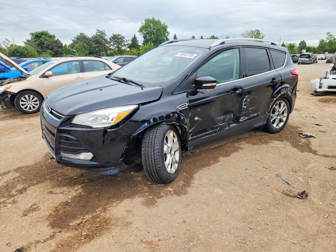 Salvage Ford Escape Image