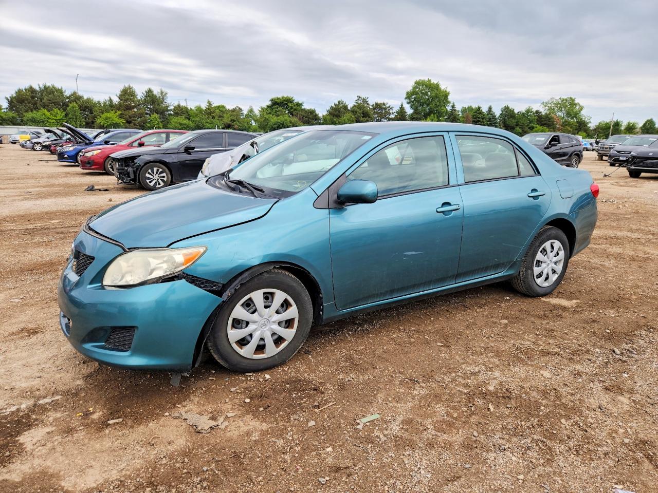 Salvage Toyota Corolla Image