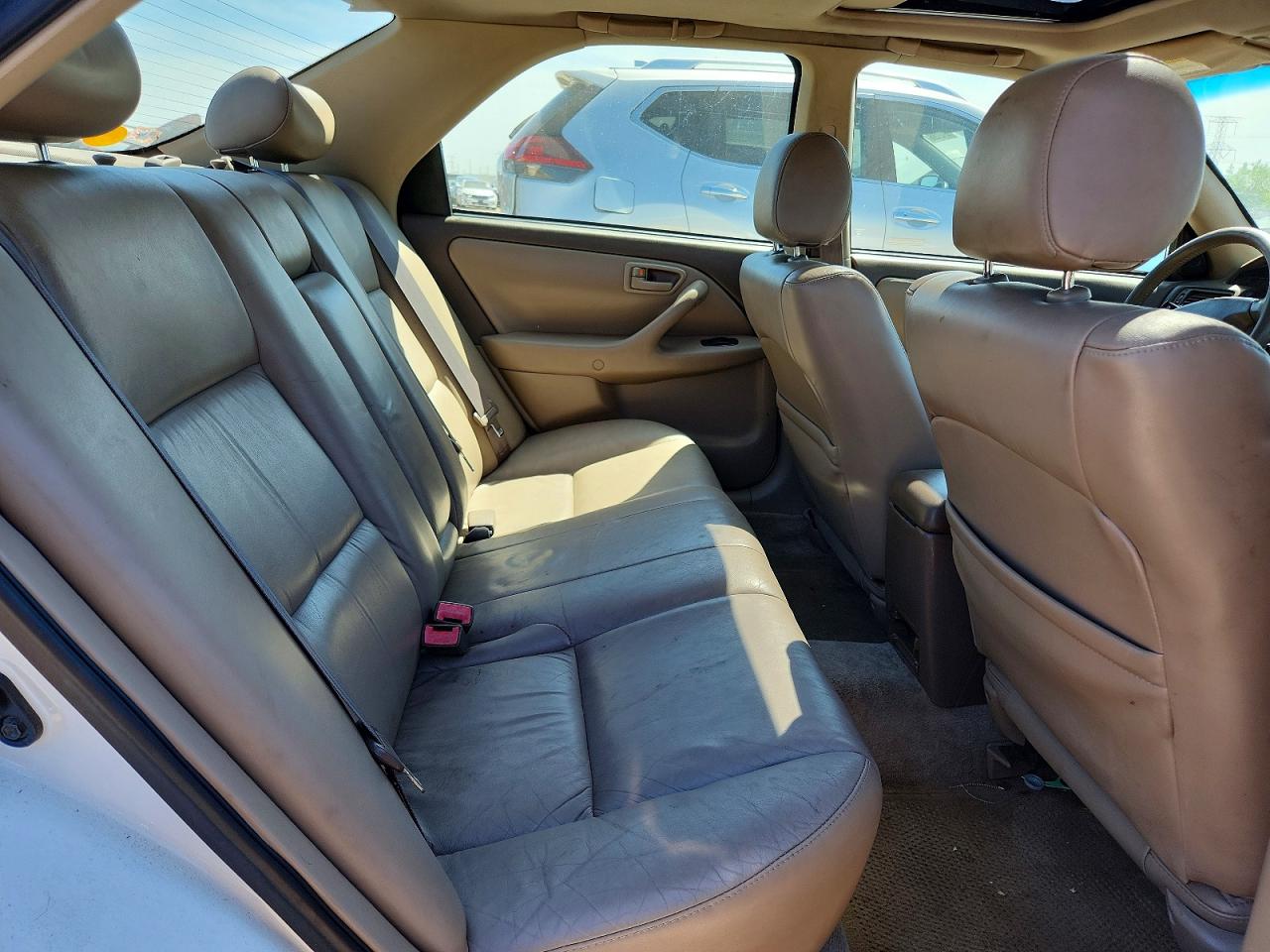 Toyota Camry Xle V6