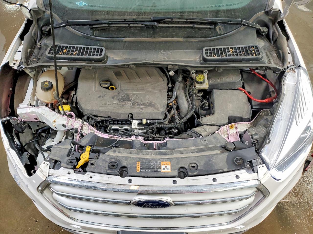 Ford Escape Sel