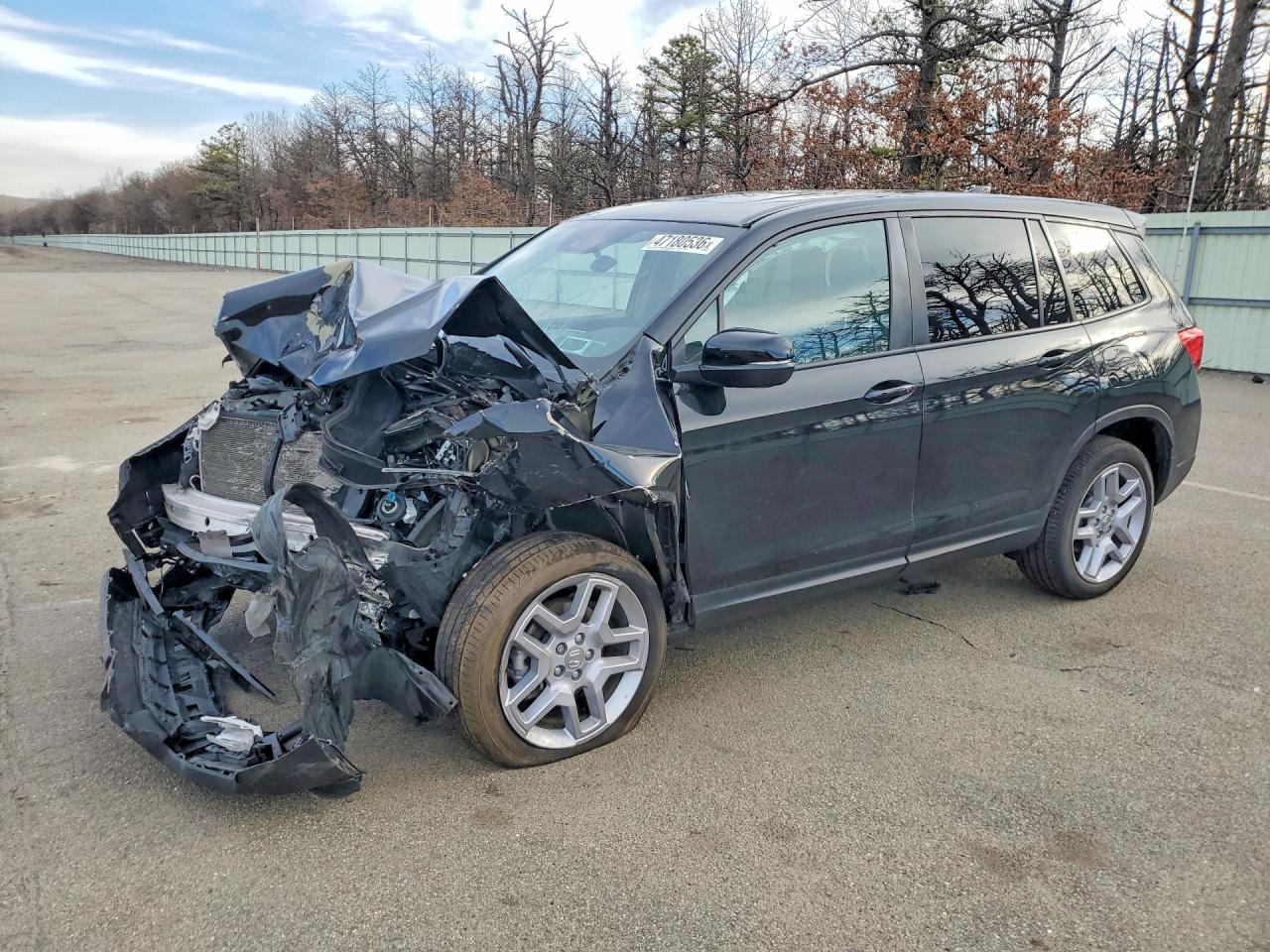 Salvage Honda Passport Image