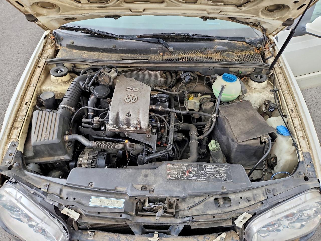Volkswagen Cabrio