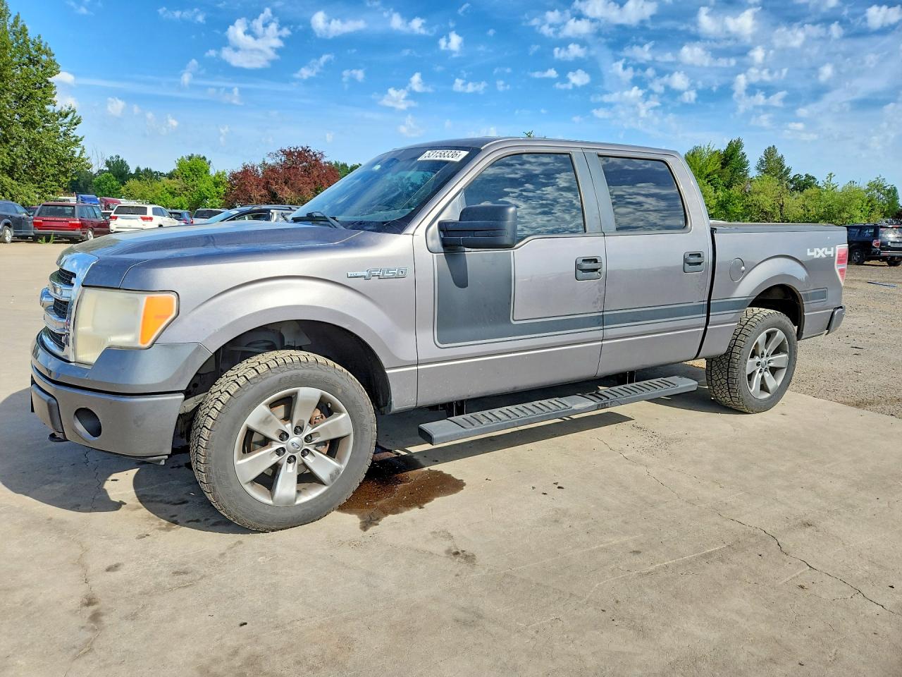 Salvage Ford F-150 Image