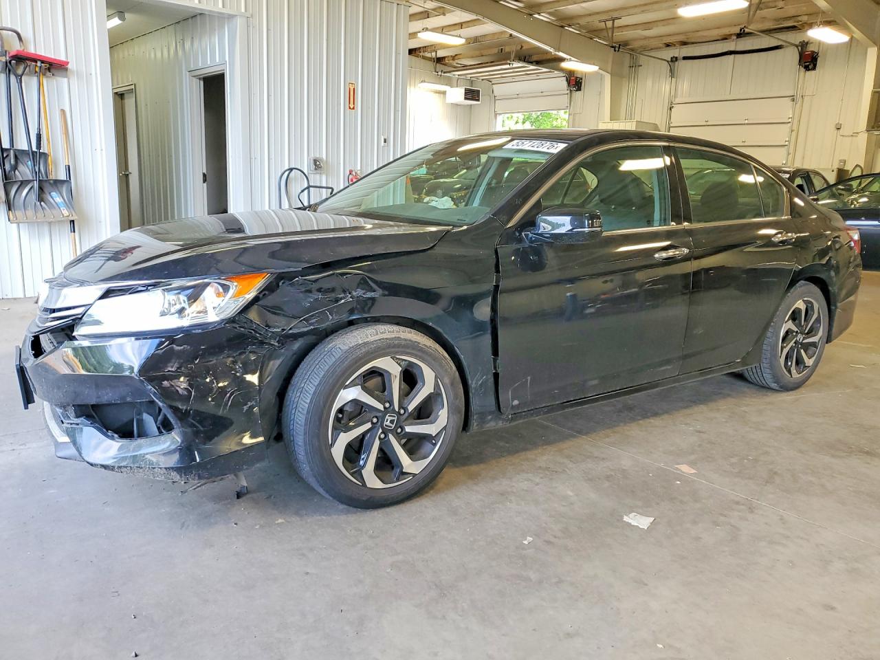 Salvage Honda Accord Image