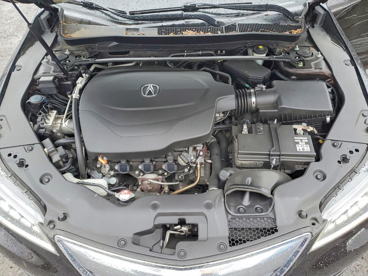 Acura TLX Tech
