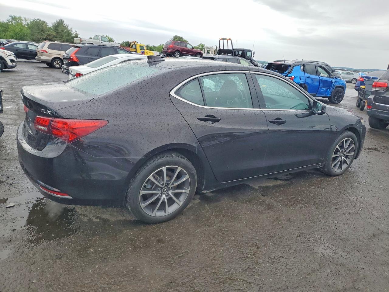 Acura TLX Tech