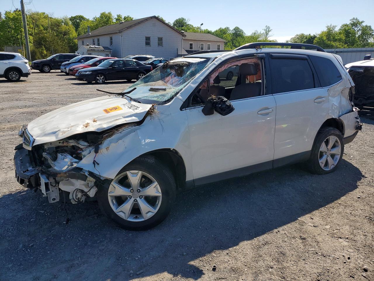 Salvage Subaru Forester Image