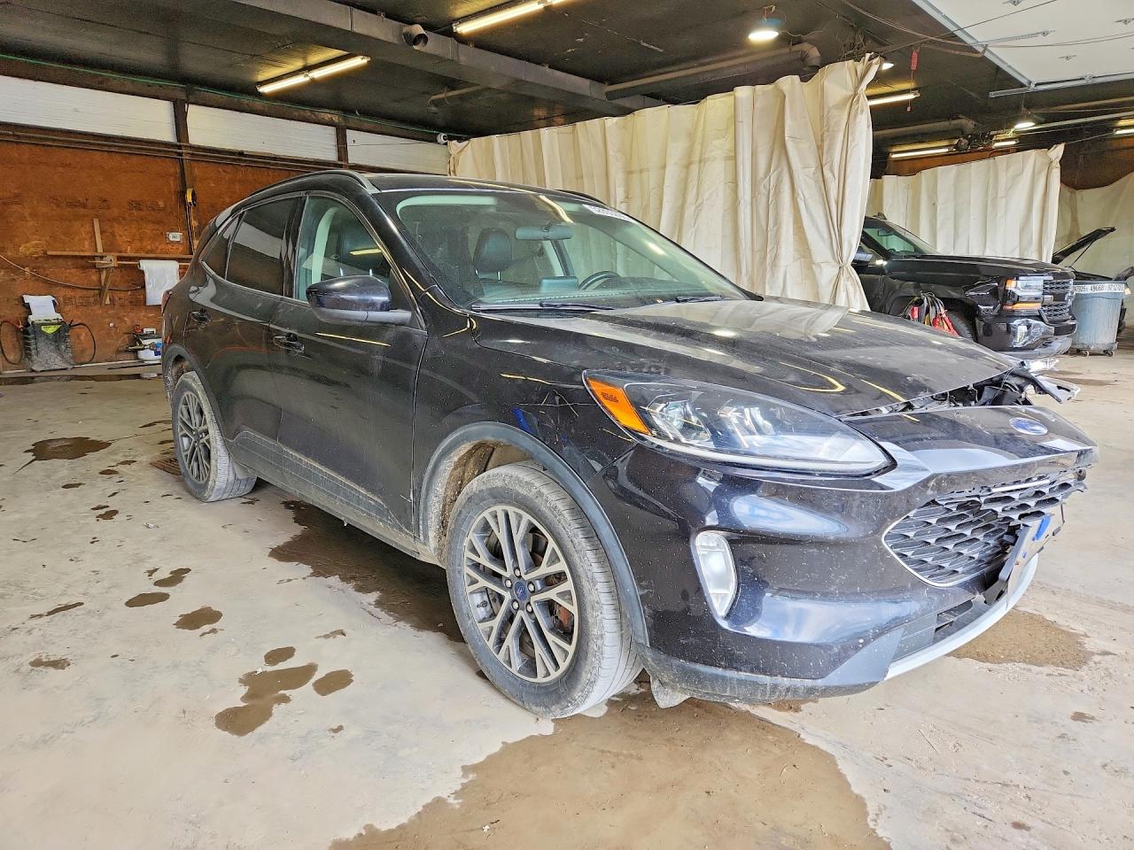 Ford Escape Sel