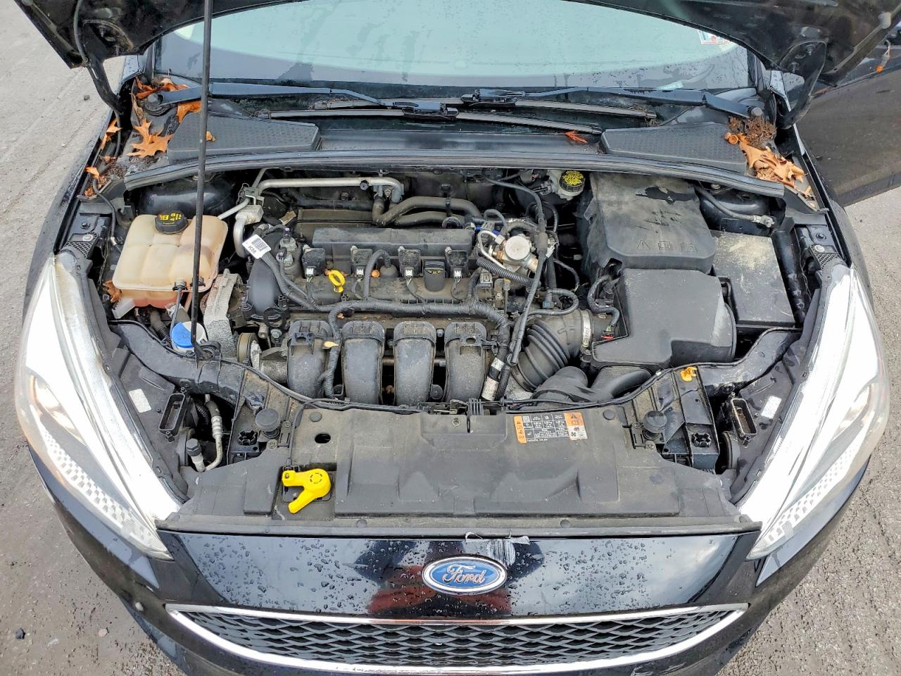 Ford Focus Se