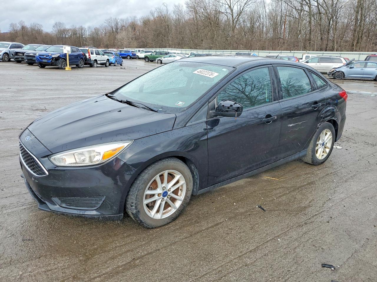 Salvage Ford Focus Image