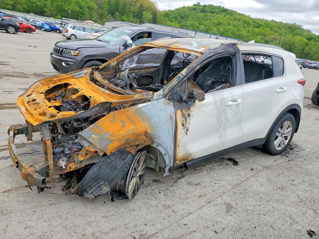 Salvage Kia Sportage Image