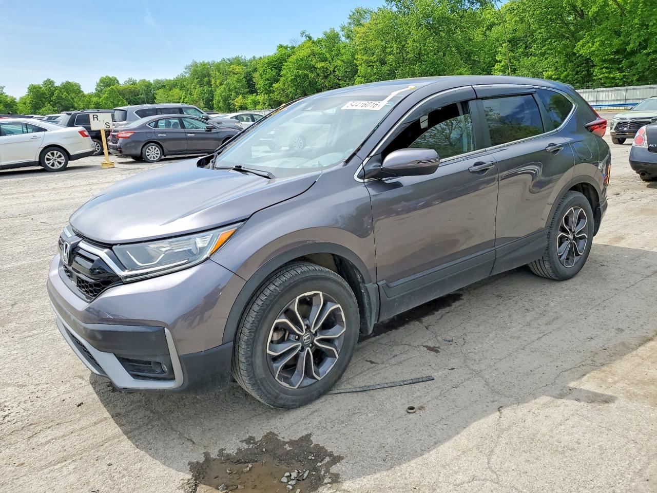 Salvage Honda Crv Image