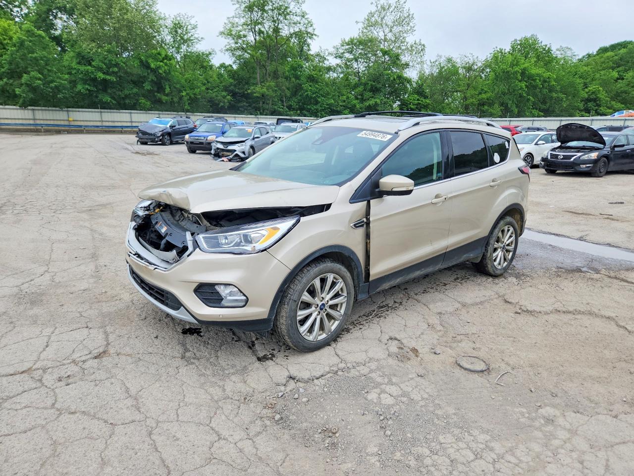 Salvage Ford Escape Image