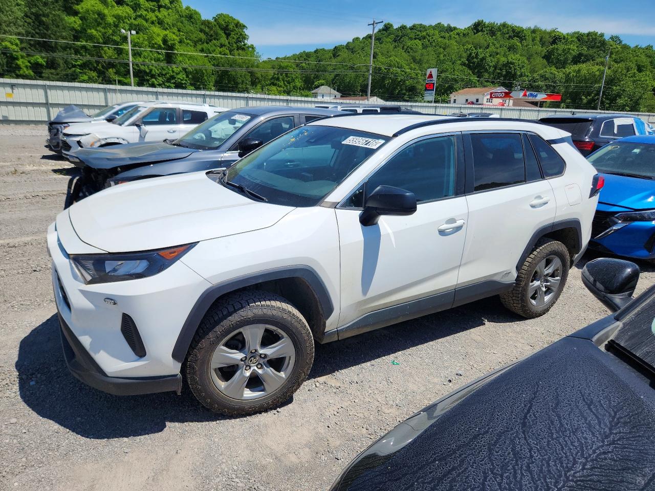 Salvage Toyota RAV4 Image