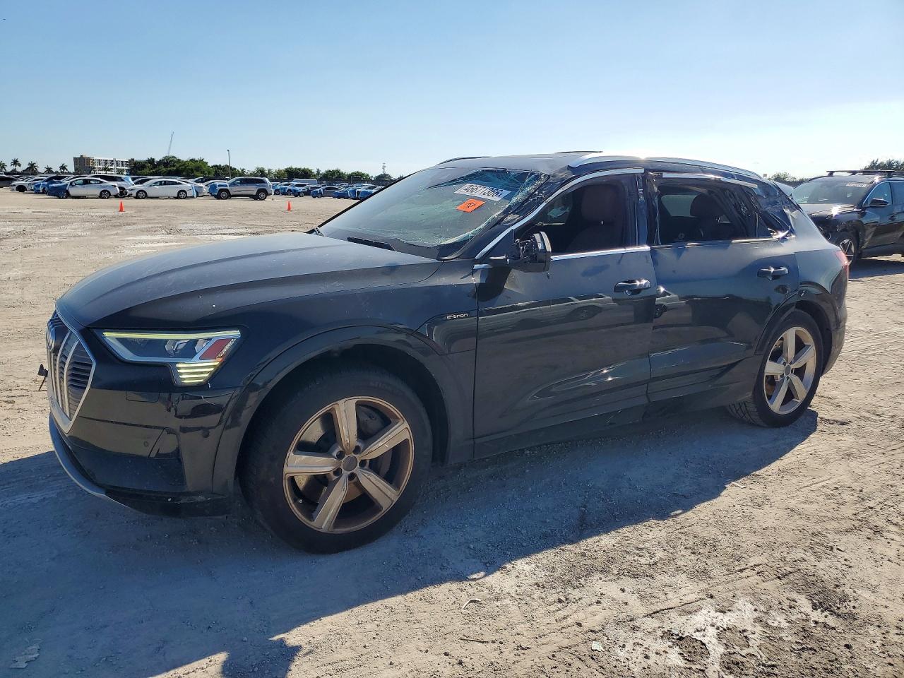 Salvage Audi e-tron Image