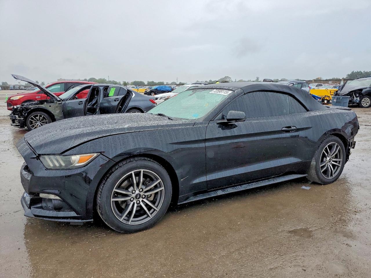 Salvage Ford Mustang Image