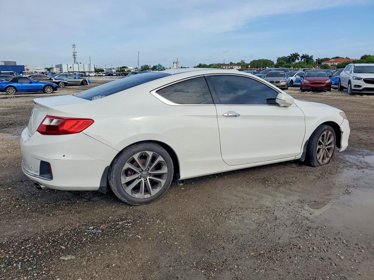 Honda Accord Exl