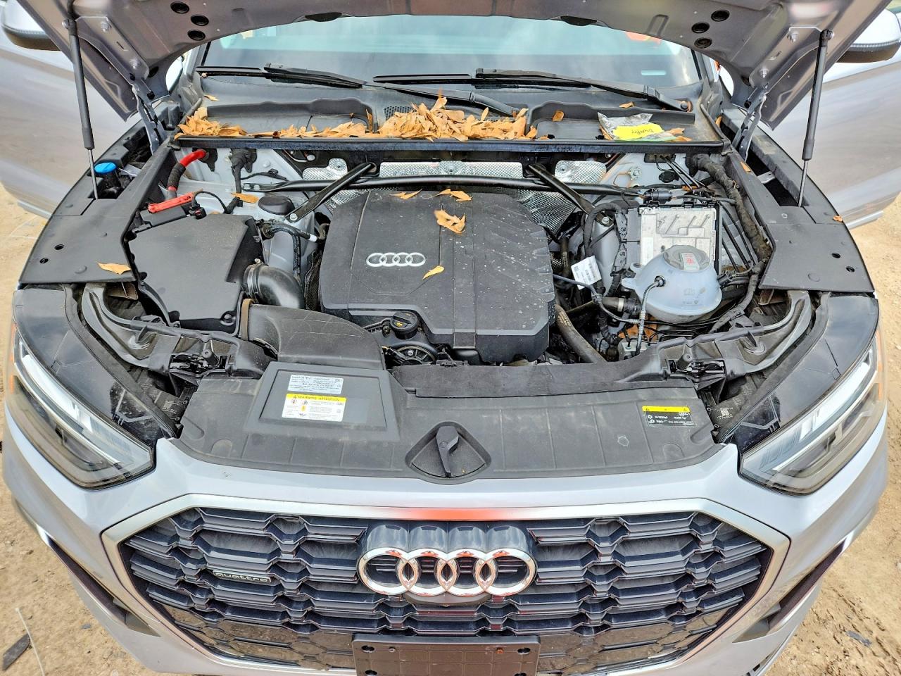 Audi Q5 Premium Plus 45