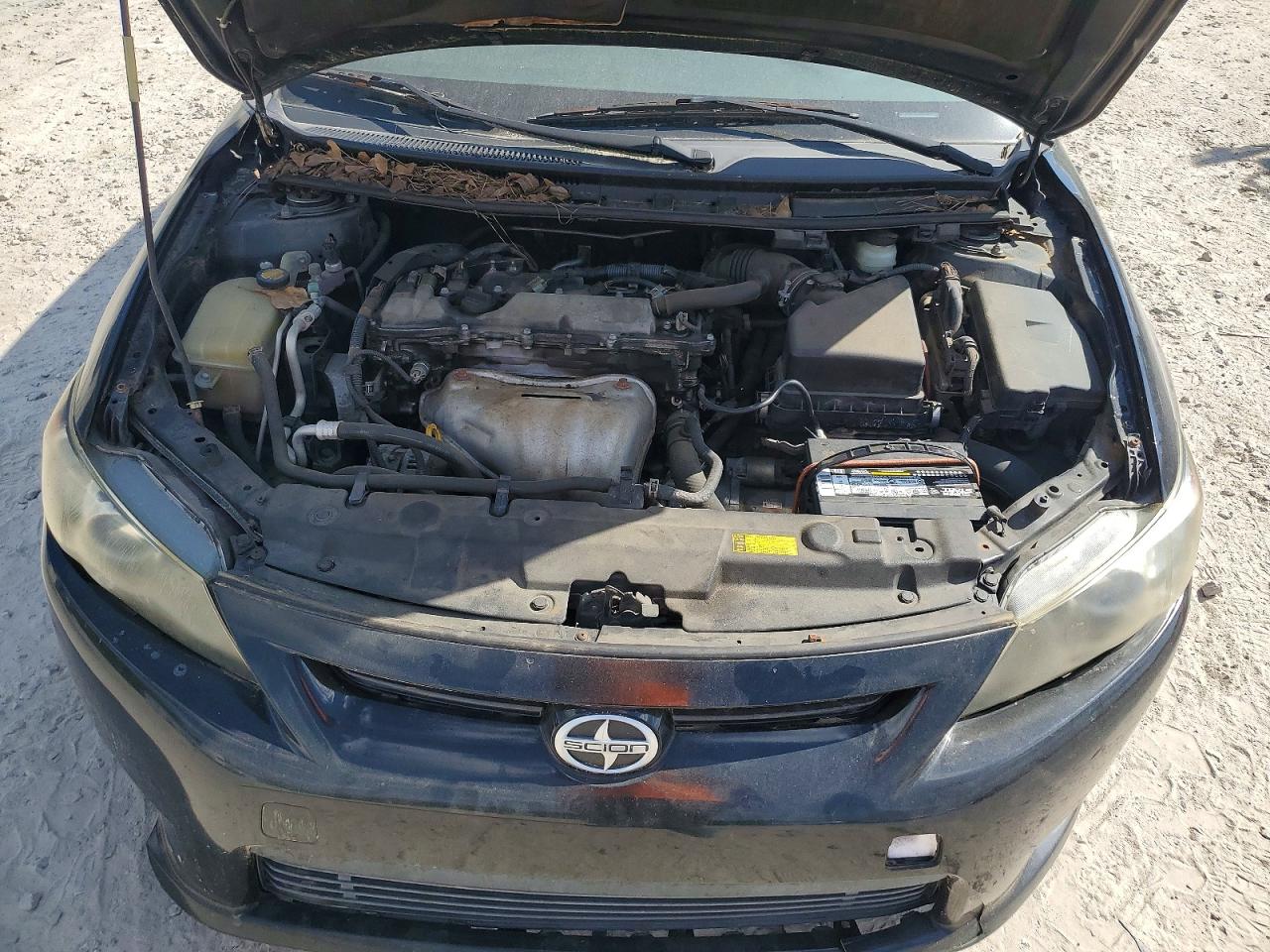 Scion TC Base