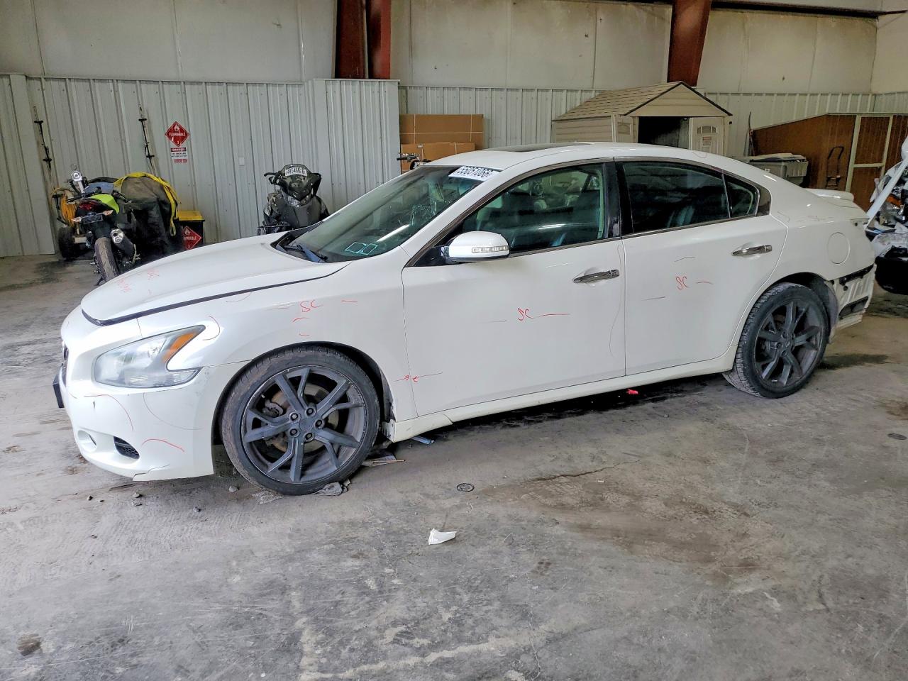 Salvage Nissan Maxima Image