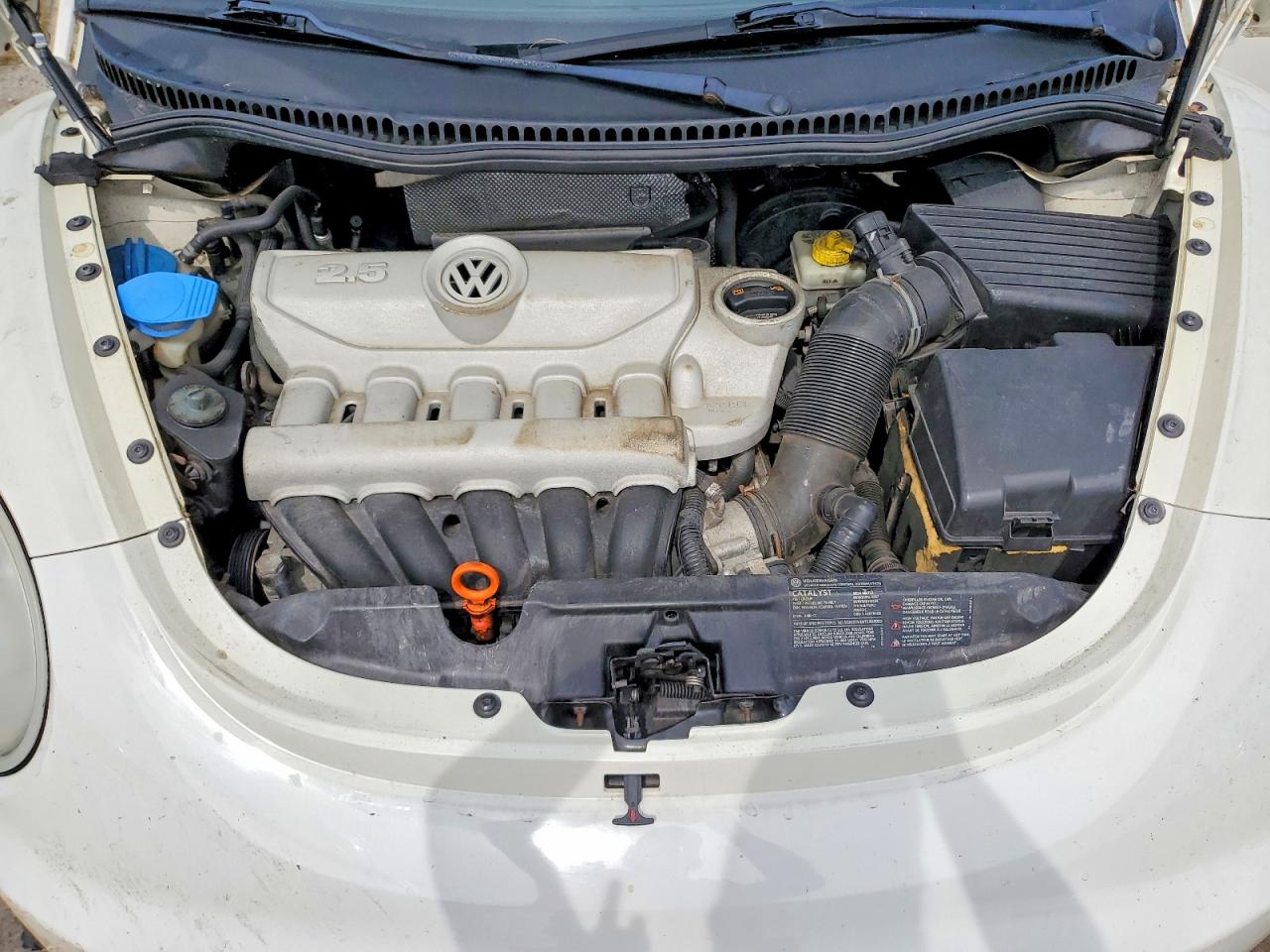 Volkswagen Beetle Triple White