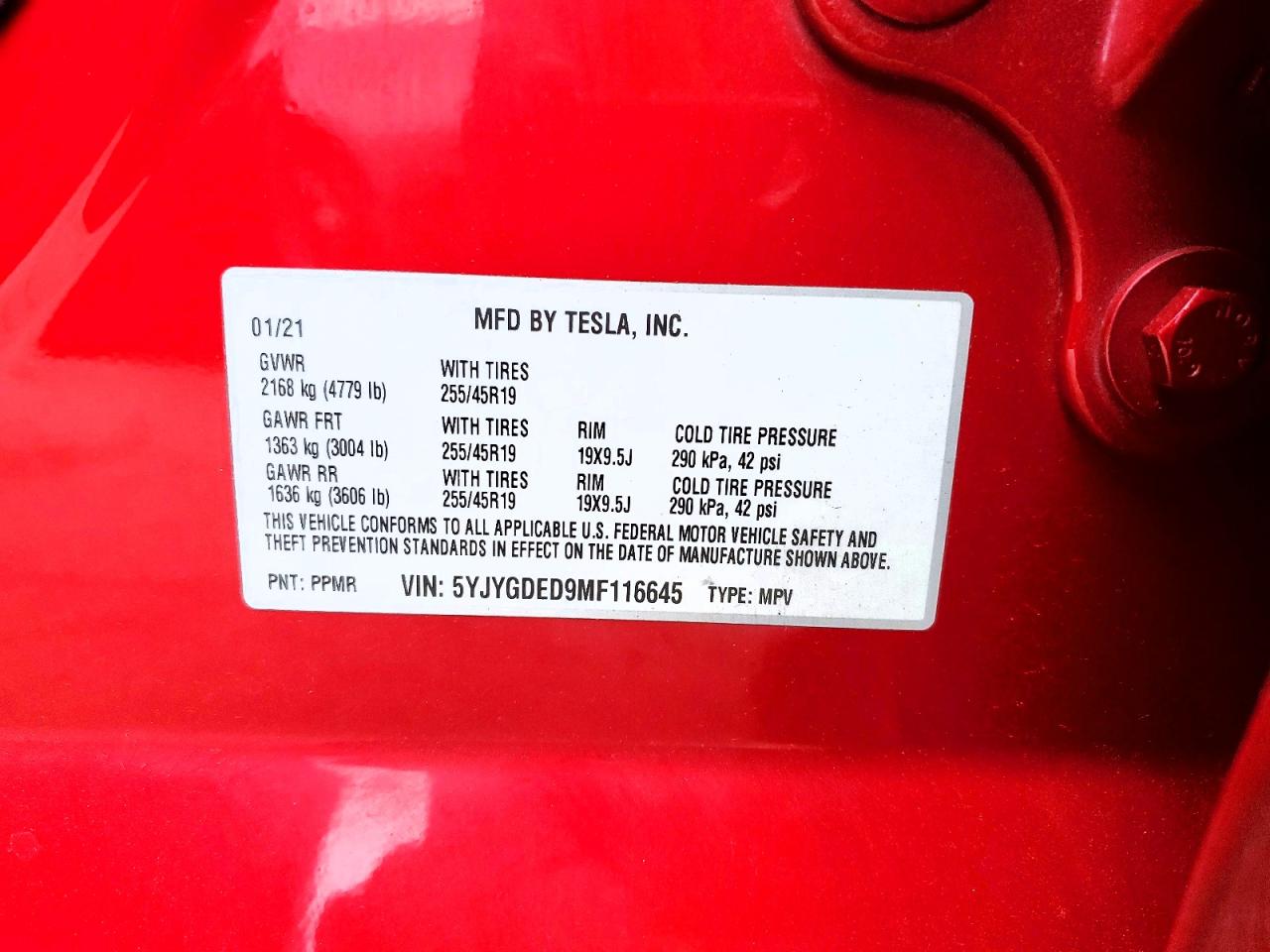 Tesla Model Y