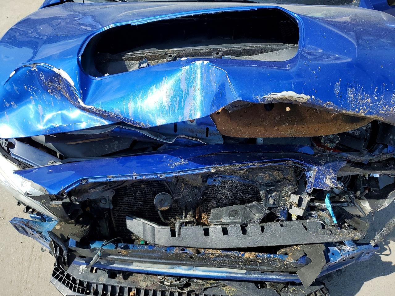 Subaru WRX
