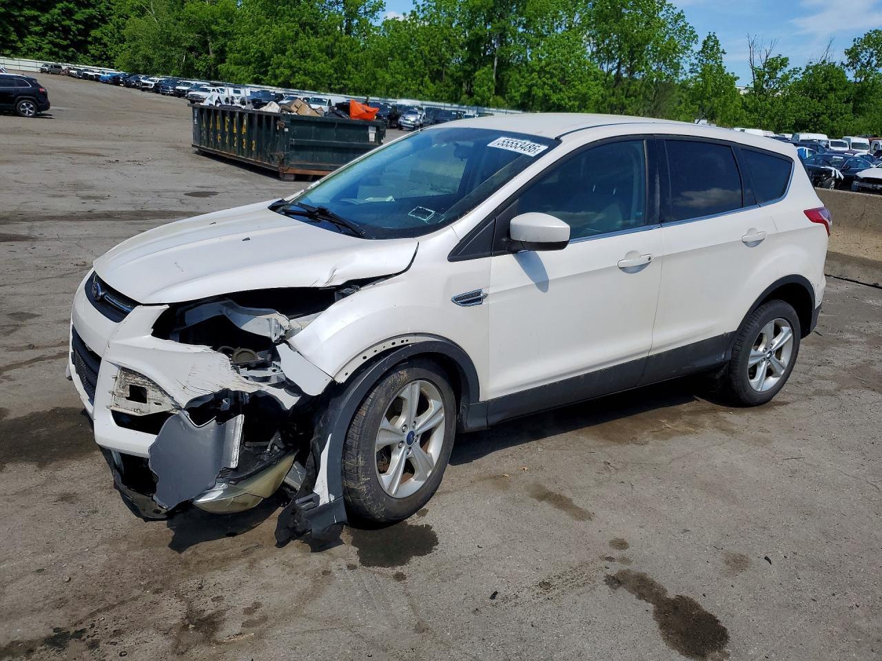Salvage Ford Escape Image