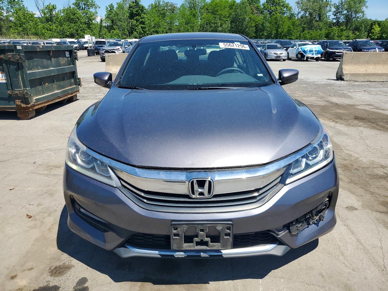 Honda Accord Sport Special Edition