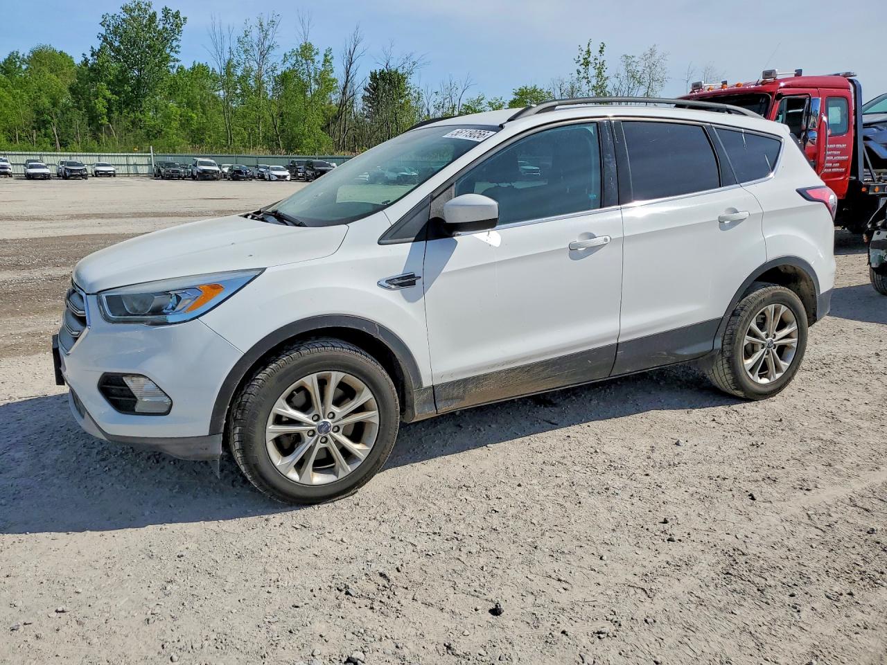 Salvage Ford Escape Image
