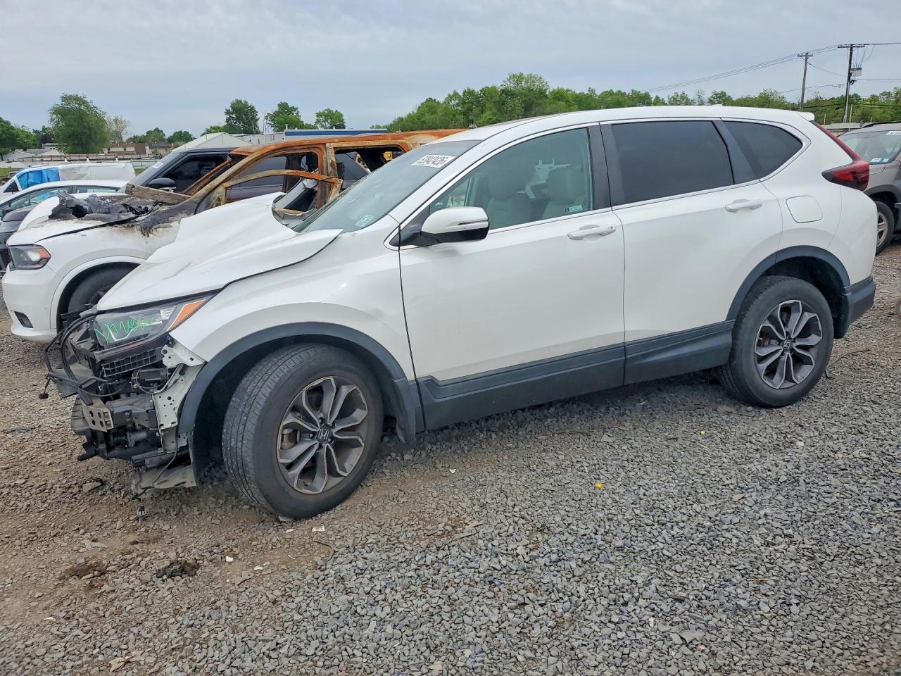 Salvage Honda Crv Image