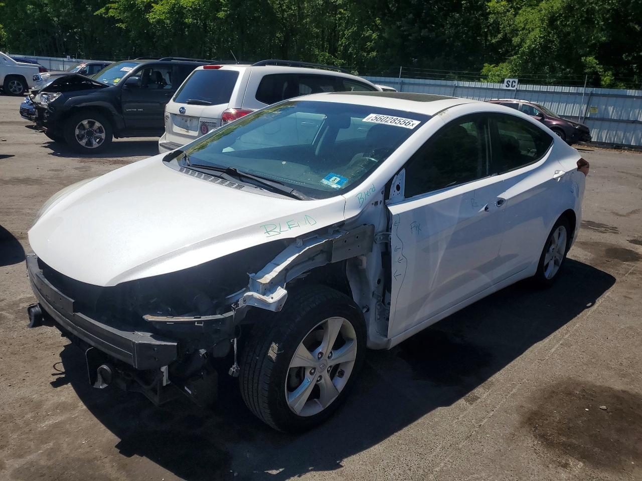Salvage Hyundai ELANTRA Image