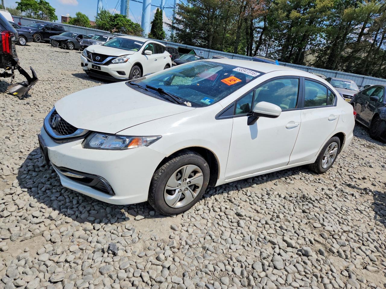 Salvage Honda Civic Image