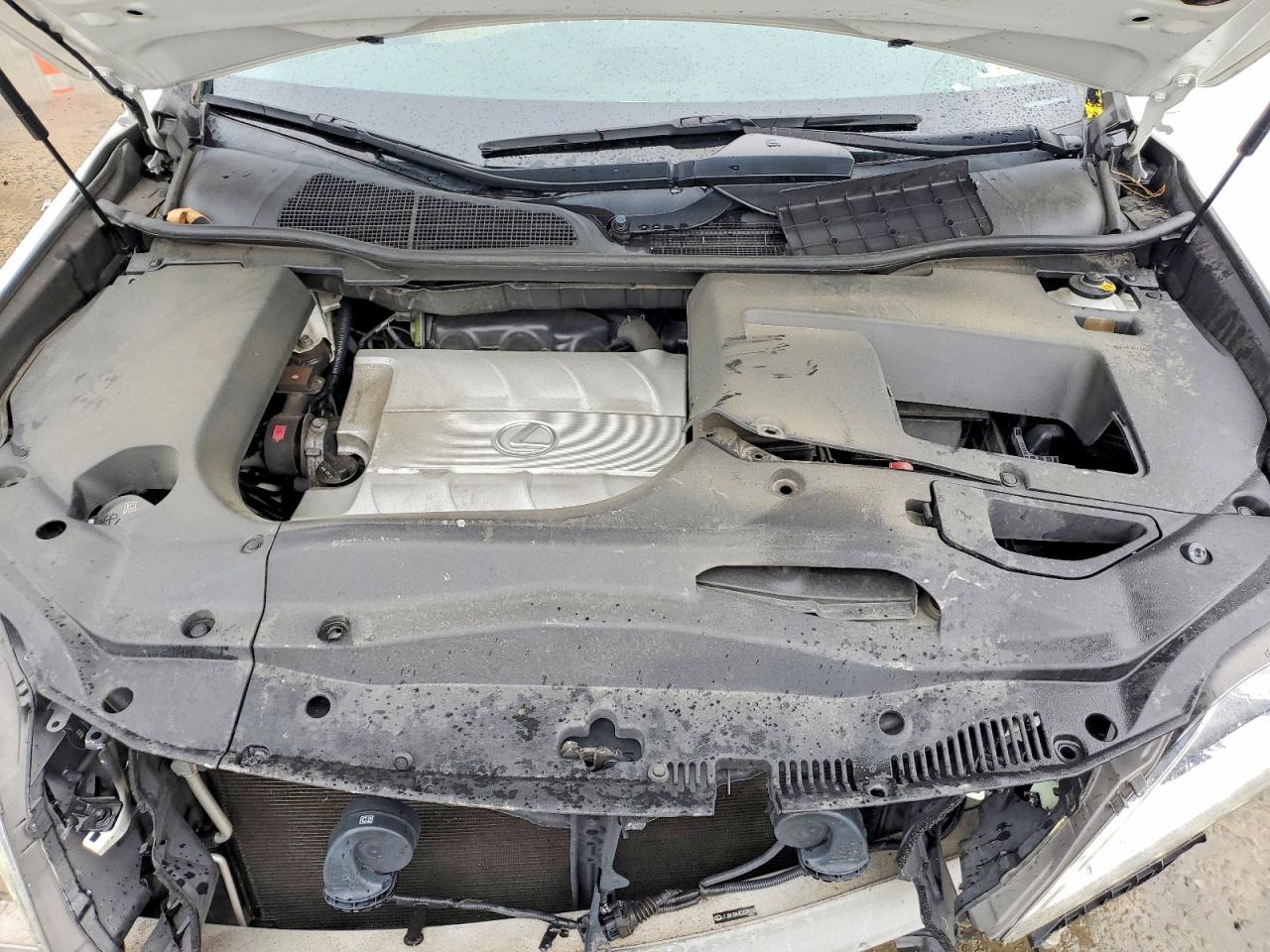 Lexus RX Base