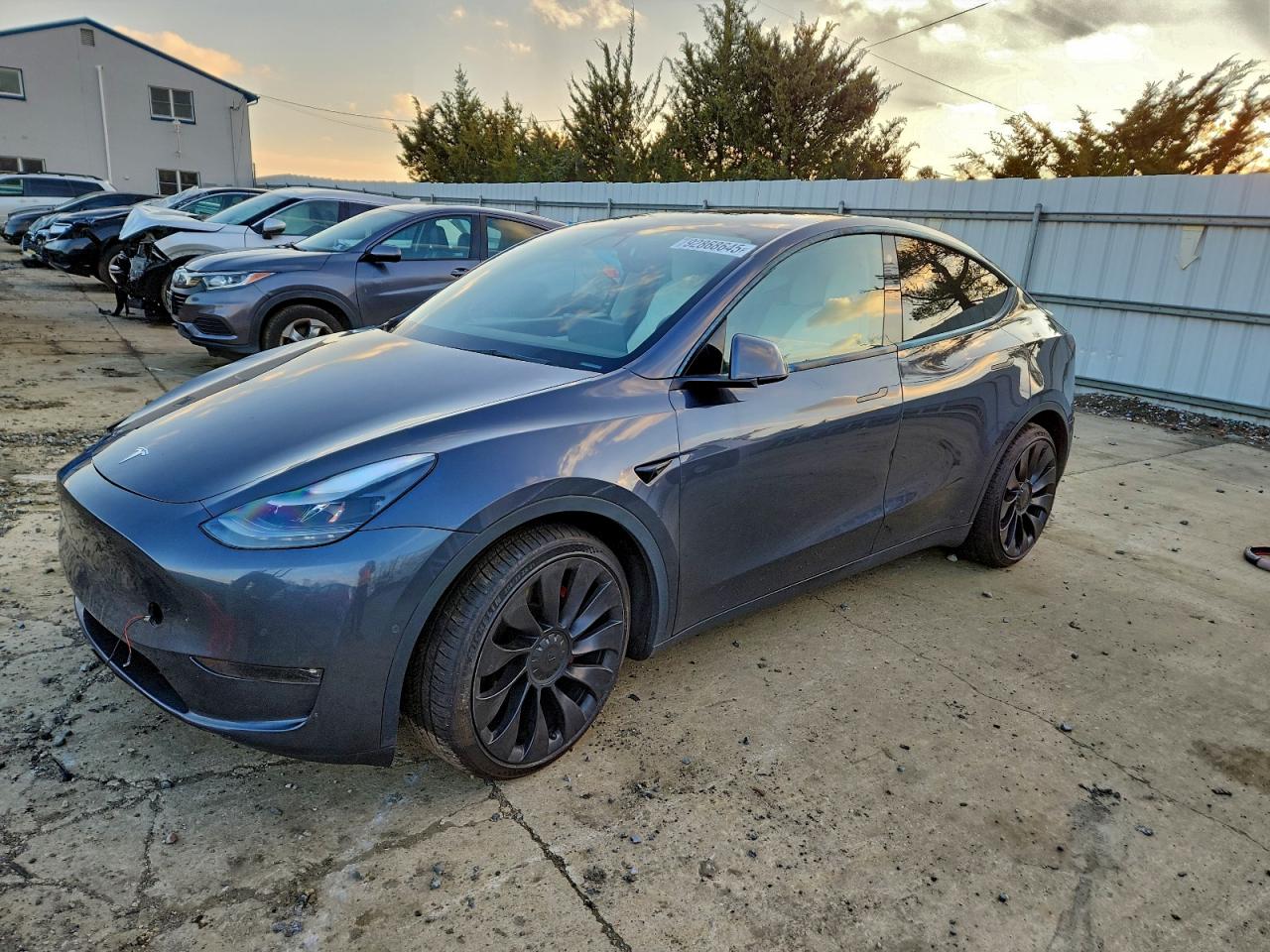 Salvage Tesla Model Y Image