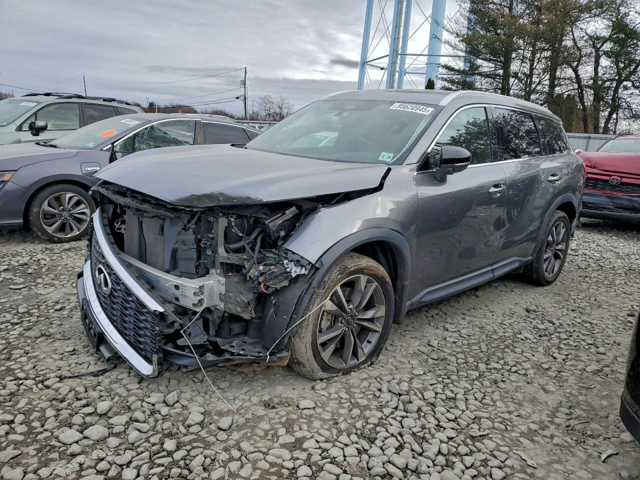 Salvage INFINITI Qx Image